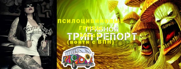 героин Алзамай