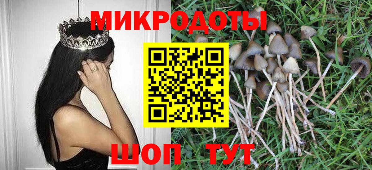 Галлюциногенные грибы мухоморы Кондопога